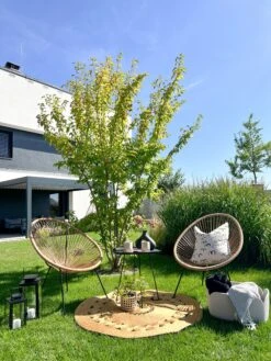 Conjunto De 2 Sillas De Balcón De Ratán Beige/natural/negro ACAPULCO II 14 Conjunto De 2 Sillas De Balcón De Ratán Beige/natural/negro ACAPULCO II -Beliani undef src sa picid 828288 type whitesh image