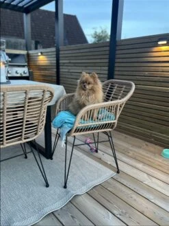 Conjunto De Balcón Color Natural TROPEA II 20 Conjunto De Balcón Color Natural TROPEA II -Beliani undef src sa picid 829573 type whitesh image