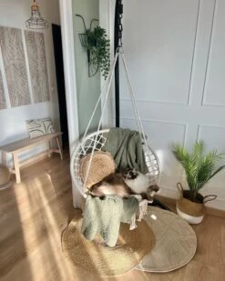 Soporte Para El Sillón Colgante Negro STAN 11 Soporte Para El Sillón Colgante Negro STAN -Beliani undef src sa picid 851273 type whitesh image