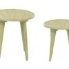 Conjunto De 2 Mesas De Madera De Mango Verde Claro MAHARO 2 Conjunto De 2 Mesas De Madera De Mango Verde Claro MAHARO -Beliani undef src sa picid 852317 type whitesh image